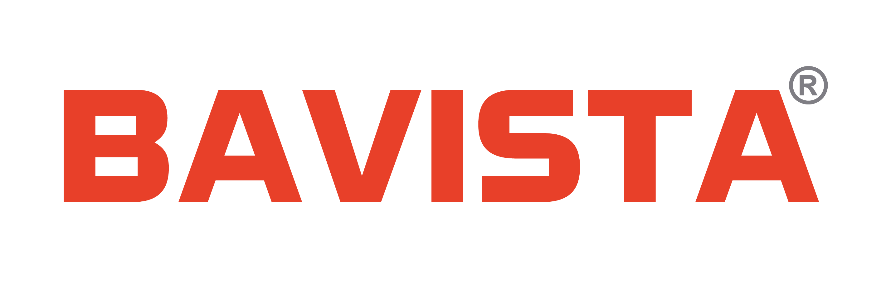 BAVISTA — Making IT Agile